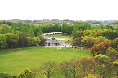 🏞️ 잠자리못 공원(톤보이케 코엔) 이미지 2